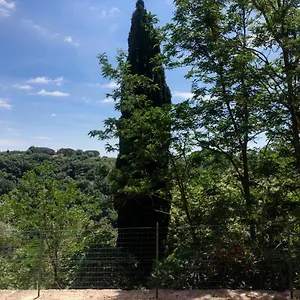 Apartment La Casa All'oliveto Pitigliano