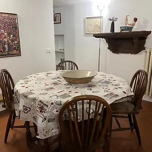Pasha Firenze